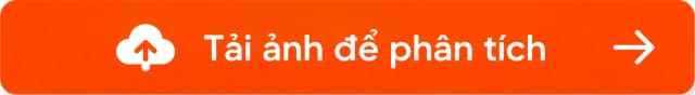 Tải ảnh để phân tích