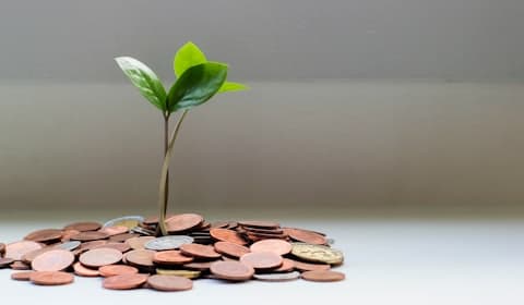 Ngân sách và chi phí dự kiến
